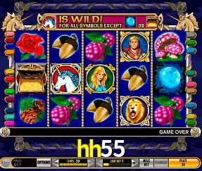 Experiência VIP hh55